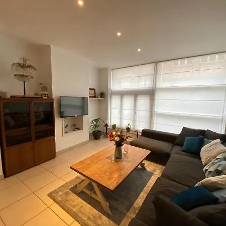公寓 Vakantie Appartement Gelijkvloers Dodo 奥斯滕德